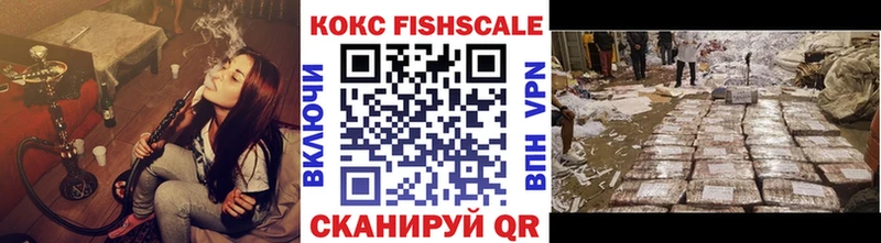 COCAIN Fish Scale  Купить  Санкт-Петербург 