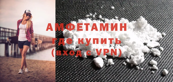 прущие грибы Аркадак