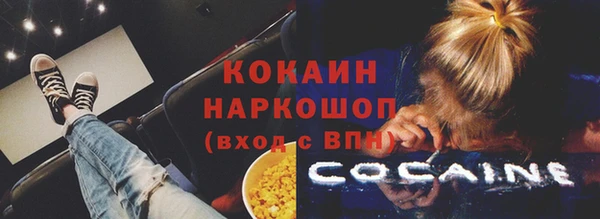 твердый Арсеньев