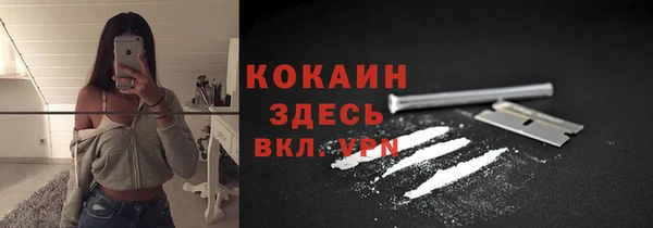 прущие грибы Армянск