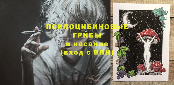 прущие грибы Армянск