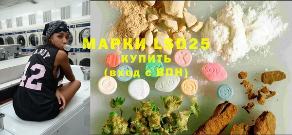 прущие грибы Аркадак