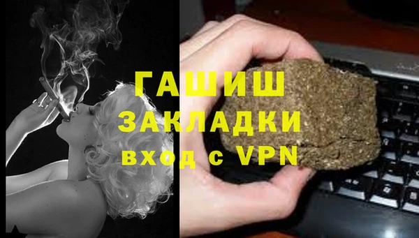 прущие грибы Армянск