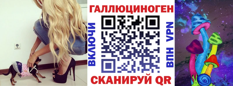 Галлюциногенные грибы MAGIC MUSHROOMS  Купить где  Санкт-Петербург 